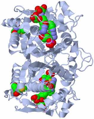 Image Biological Unit 1