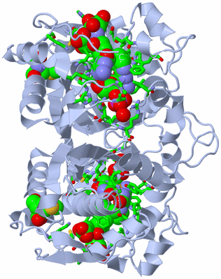 Image Biol. Unit 1 - sites