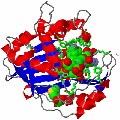 Image Asym. Unit - sites