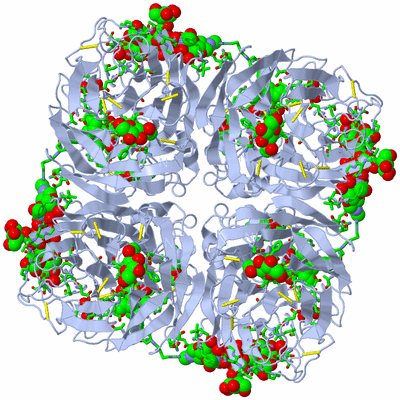 Image Biol. Unit 1 - sites