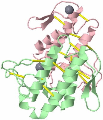 Image Biological Unit 10