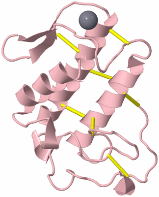 Image Biological Unit 3