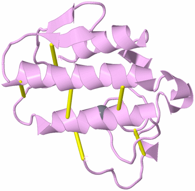 Image Biological Unit 5