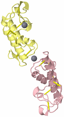 Image Biological Unit 7