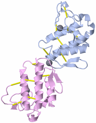 Image Biological Unit 8