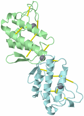 Image Biological Unit 9