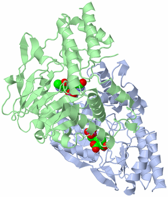 Image Asym./Biol. Unit