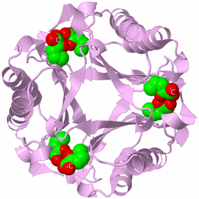 Image Biological Unit 3