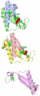 Image Asym. Unit - sites