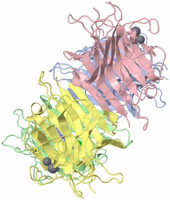 Image Biological Unit 1
