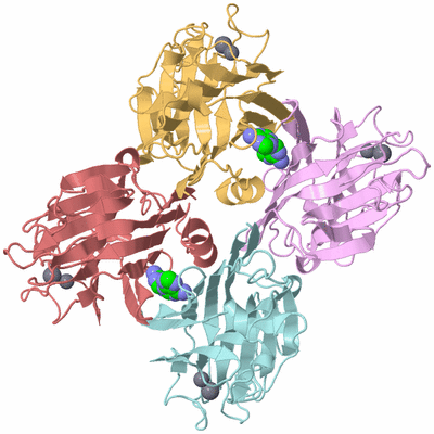 Image Biological Unit 2