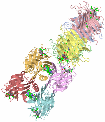 Image Asym. Unit - sites