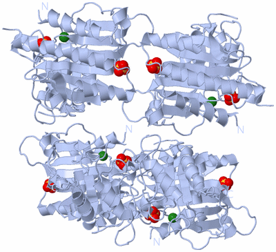 Image Biological Unit 1