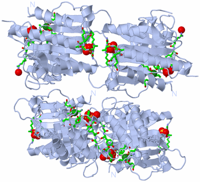 Image Biol. Unit 1 - sites