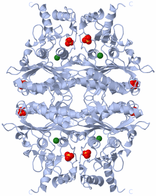 Image Biological Unit 2