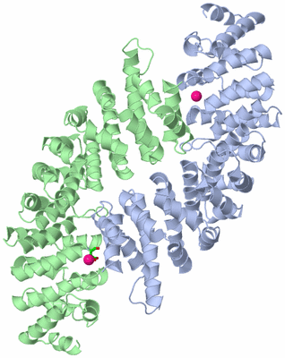 Image Asym./Biol. Unit - sites