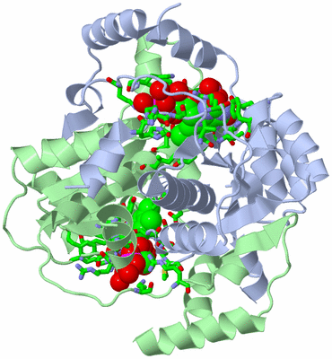 Image Asym./Biol. Unit - sites