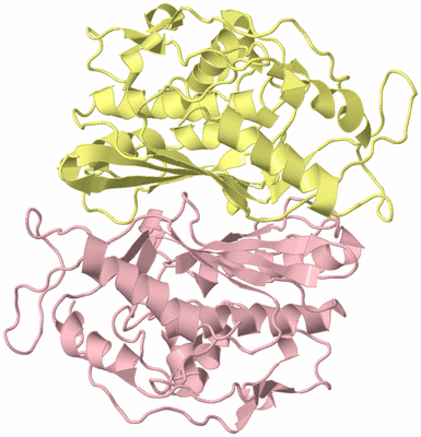 Image Biological Unit 2