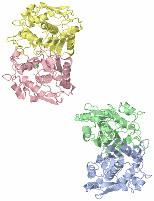 Image Asym. Unit - sites