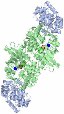 Image Biological Unit 1