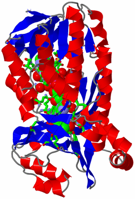 Image Asym. Unit - sites