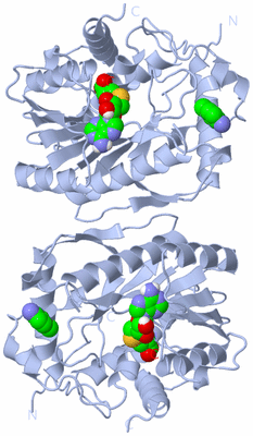 Image Biological Unit 1