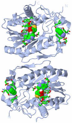 Image Biol. Unit 1 - sites