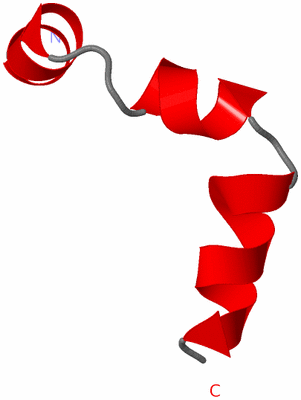 Image NMR Structure - model 1