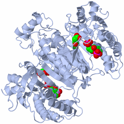 Image Biological Unit 1