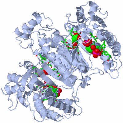 Image Biol. Unit 1 - sites