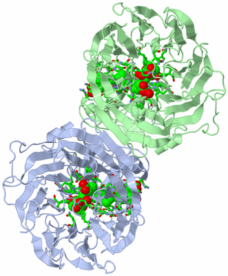 Image Asym./Biol. Unit - sites