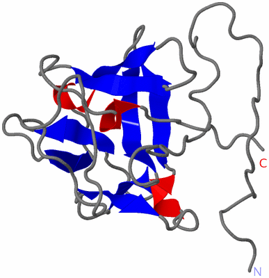 Image NMR Structure - model 1