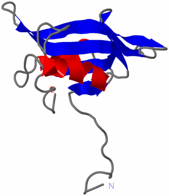 Image NMR Structure - model 1