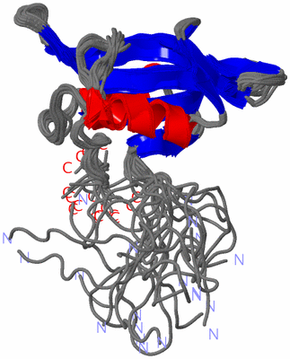 Image NMR Structure - all models