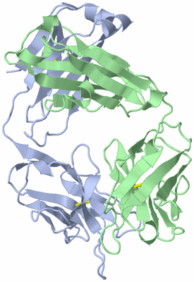 Image Biological Unit 3