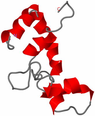 Image NMR Structure - model 1