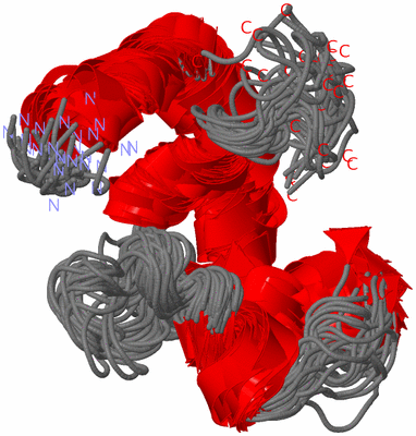 Image NMR Structure - all models