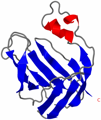 Image NMR Structure - model 1