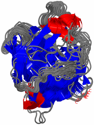 Image NMR Structure - all models