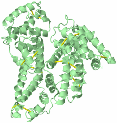 Image Biological Unit 2