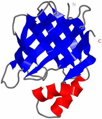 Image NMR Structure - model 1