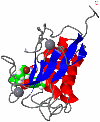 Image NMR Structure - model 1