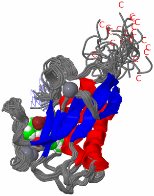 Image NMR Structure - all models