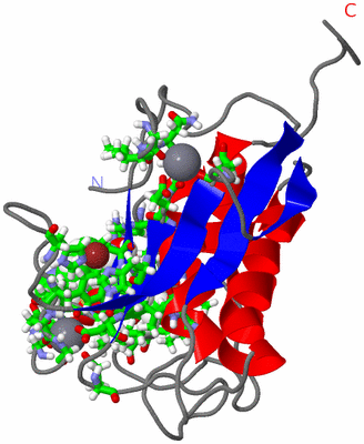 Image NMR Structure - model 1, sites