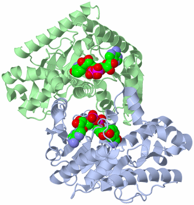 Image Asym./Biol. Unit