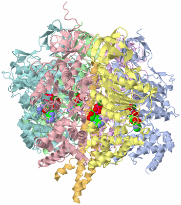 Image Asym./Biol. Unit