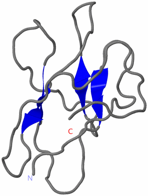 Image NMR Structure - model 1