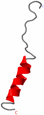 Image NMR Structure - model 1