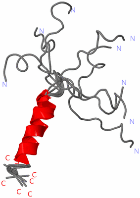 Image NMR Structure - all models