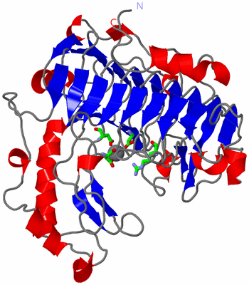 Image Asym./Biol. Unit - sites